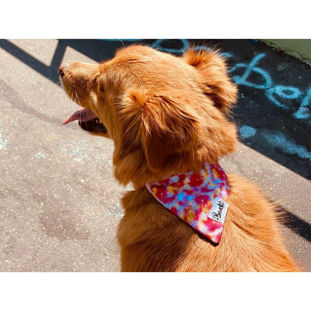 Bandana Bandikini - French Bandit-Magna-Carta