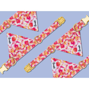 Bandana Bandikini - French Bandit-Magna-Carta