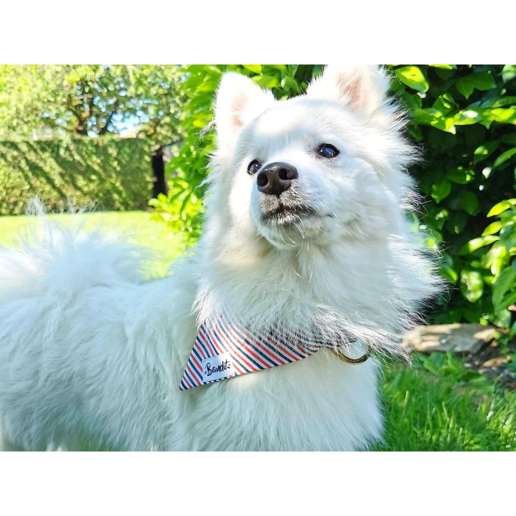 Bandana French Banban - French Bandit-Magna-Carta