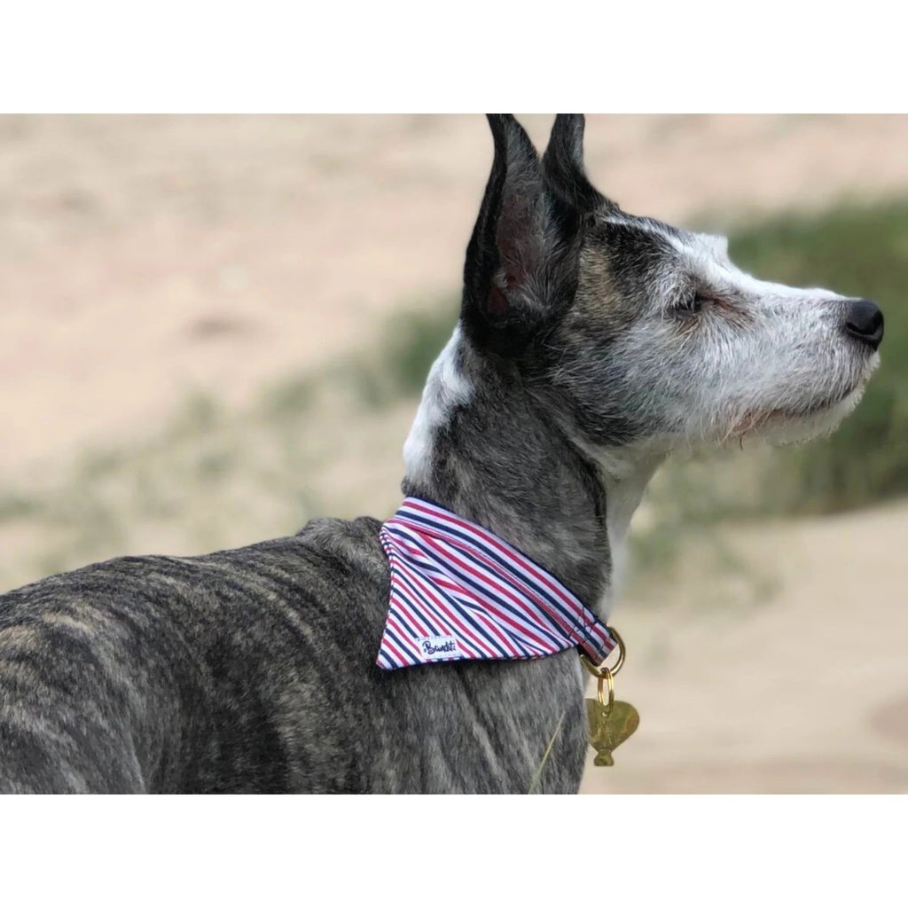 Bandana French Banban - French Bandit-Magna-Carta