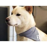 Bandana In The Navy - French Bandit-Magna-Carta