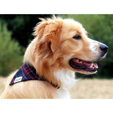 Bandana Oh My Lord - French Bandit-Magna-Carta