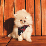 Bandana Oh My Lord - French Bandit-Magna-Carta