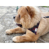 Bandana Oh My Lord - French Bandit-Magna-Carta