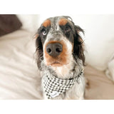 Bandana Veni Vidi Vichy - French Bandit-Magna-Carta