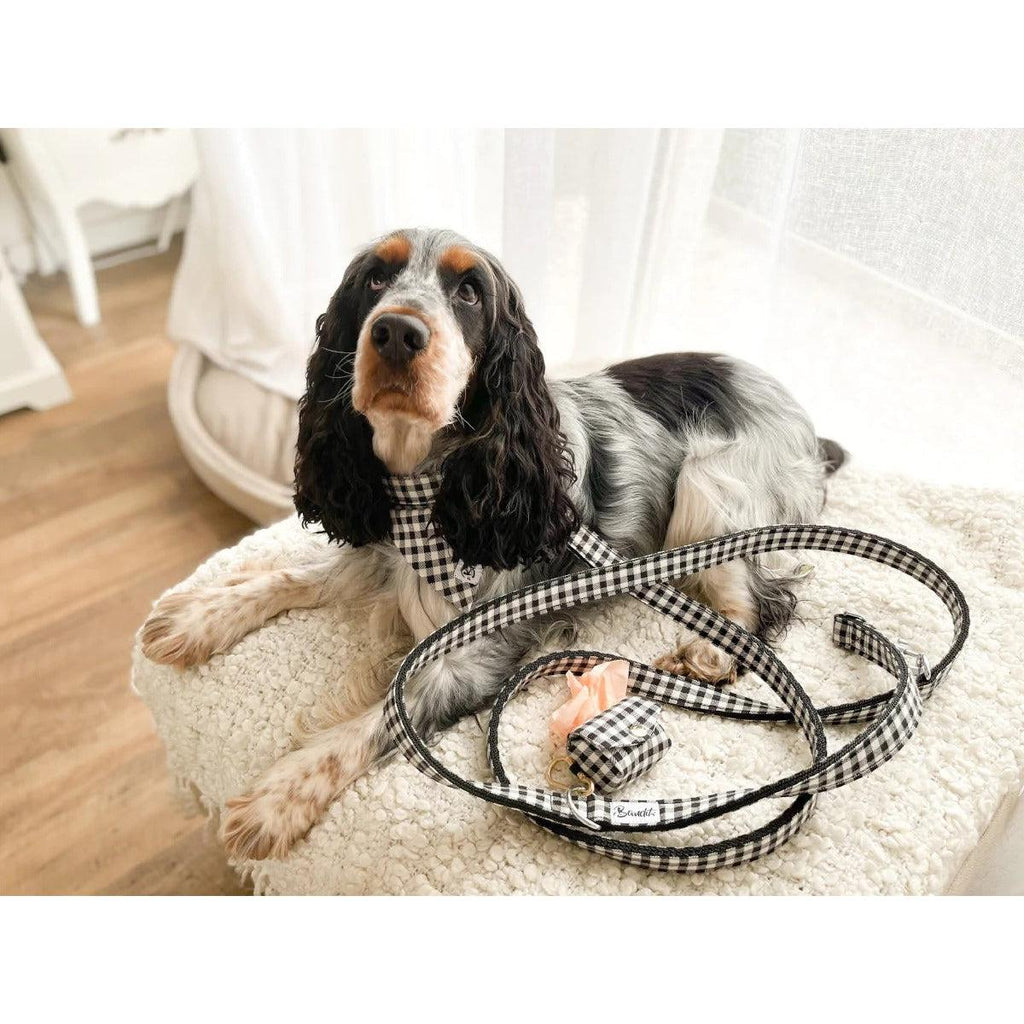 Bandana Veni Vidi Vichy - French Bandit-Magna-Carta