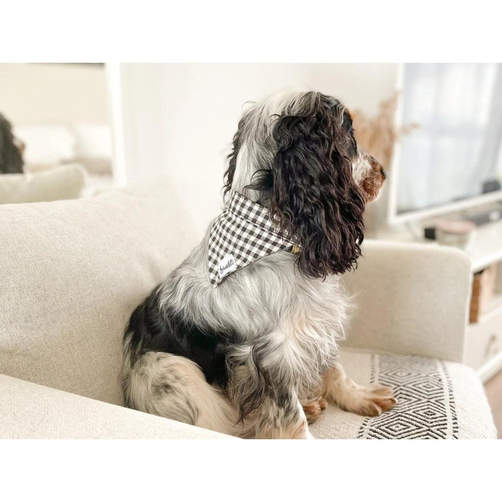 Bandana Veni Vidi Vichy - French Bandit-Magna-Carta