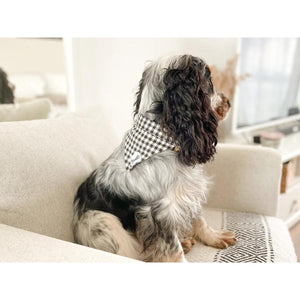 Bandana Veni Vidi Vichy - French Bandit-Magna-Carta