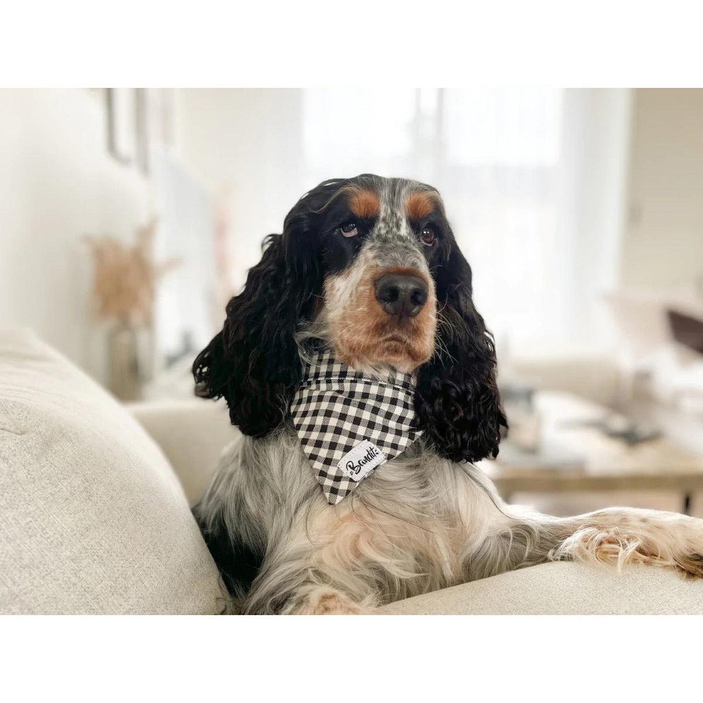 Bandana Veni Vidi Vichy - French Bandit-Magna-Carta