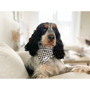 Bandana Veni Vidi Vichy - French Bandit-Magna-Carta