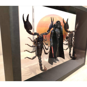 Coffret d'entomologie Star Wars - Dark Vador / Scorpions - Benjamin Pietri-Magna-Carta