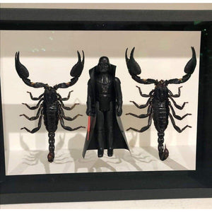 Coffret d'entomologie Star Wars - Dark Vador / Scorpions - Benjamin Pietri-Magna-Carta