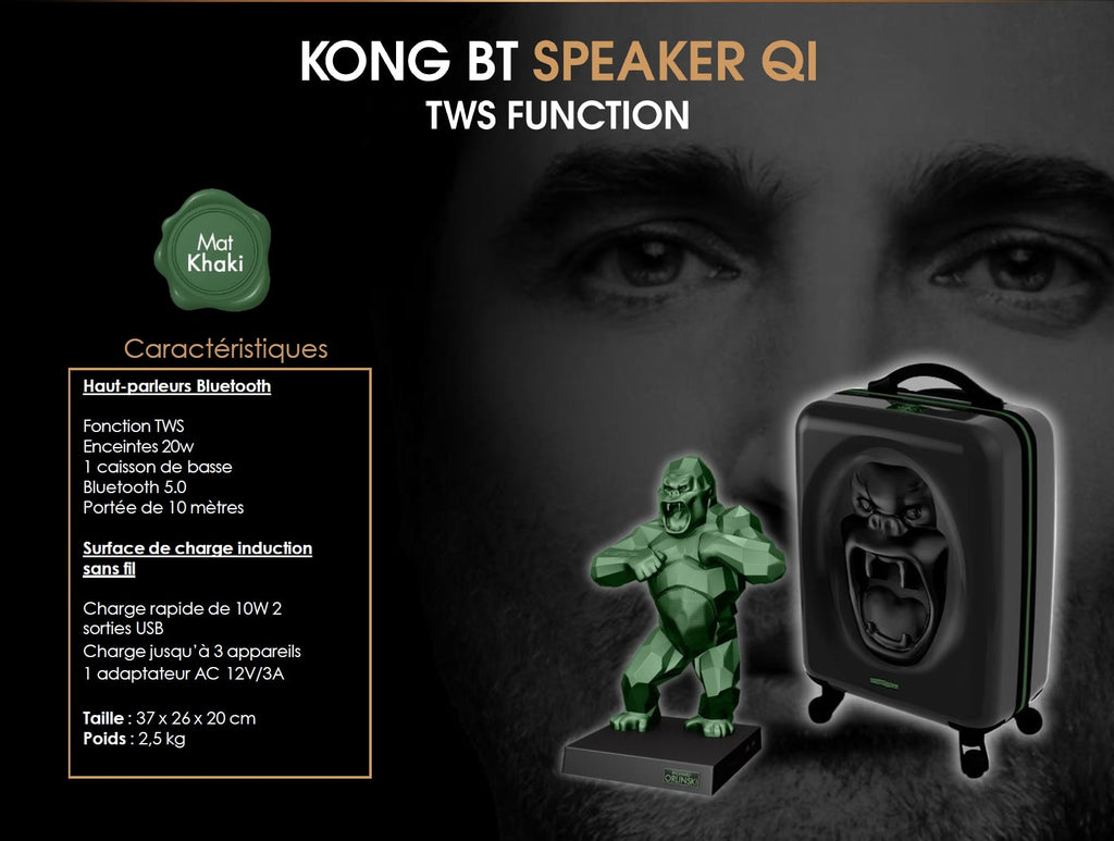 Kiwikong Kaki Mat by Richard Orlinski - ORLINSKI