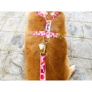 Laisse 120 cm fine Bandikini - French Bandit-Magna-Carta