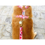 Laisse 120 cm fine Bandikini - French Bandit-Magna-Carta