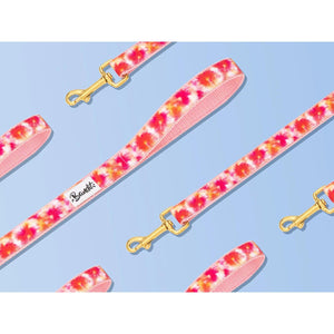 Laisse 120 cm fine Bandikini - French Bandit-Magna-Carta