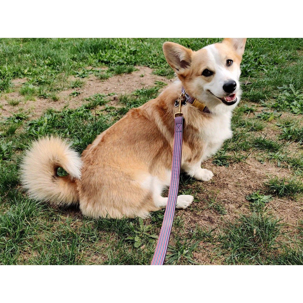 Laisse 120 cm fine French Banban - French Bandit-Magna-Carta