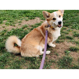 Laisse 120 cm fine French Banban - French Bandit-Magna-Carta