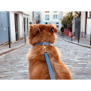 Laisse 120 cm fine In The Navy - French Bandit-Magna-Carta