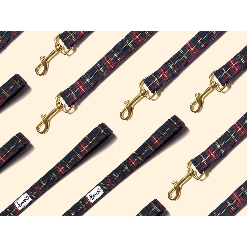 Laisse 120 cm fine Oh My Lord - French Bandit-Magna-Carta