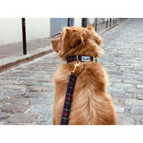 Laisse 120 cm fine Oh My Lord - French Bandit-Magna-Carta