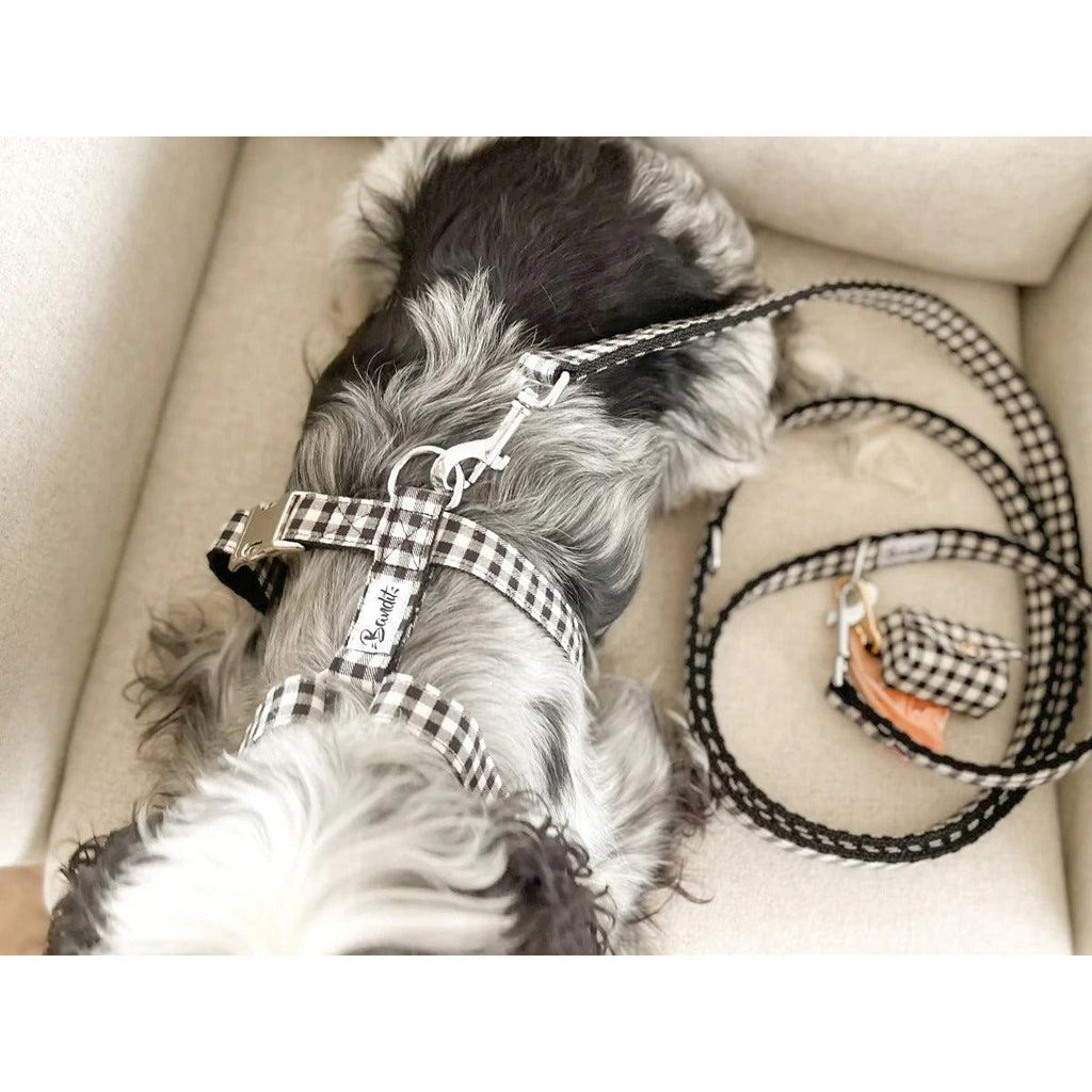 Laisse 120 cm fine Veni Vidi Vichy - French Bandit-Magna-Carta