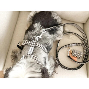 Laisse 120 cm fine Veni Vidi Vichy - French Bandit-Magna-Carta