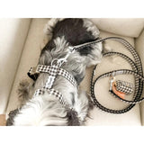 Laisse 120 cm fine Veni Vidi Vichy - French Bandit-Magna-Carta