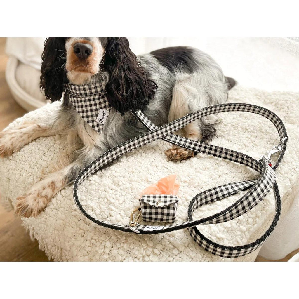 Laisse 120 cm fine Veni Vidi Vichy - French Bandit-Magna-Carta