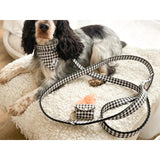 Laisse 120 cm fine Veni Vidi Vichy - French Bandit-Magna-Carta