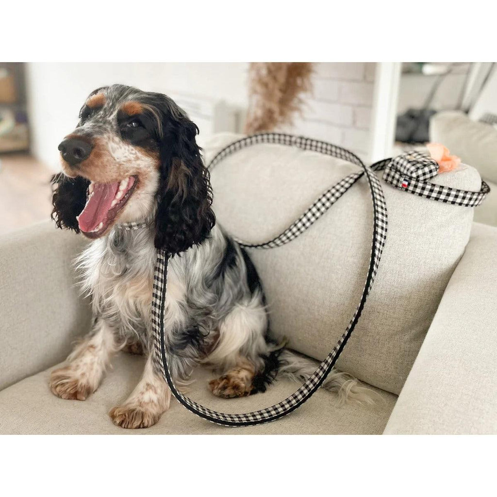 Laisse 120 cm fine Veni Vidi Vichy - French Bandit-Magna-Carta