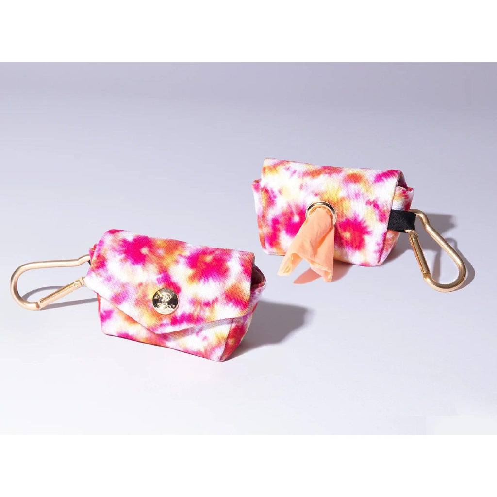 POO'CHETTE BANDIKINI - French Bandit-Magna-Carta