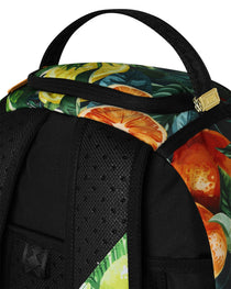 Sac à dos - CITRUS SPLIT BACKPACK - SPRAYGROUND-Magna-Carta