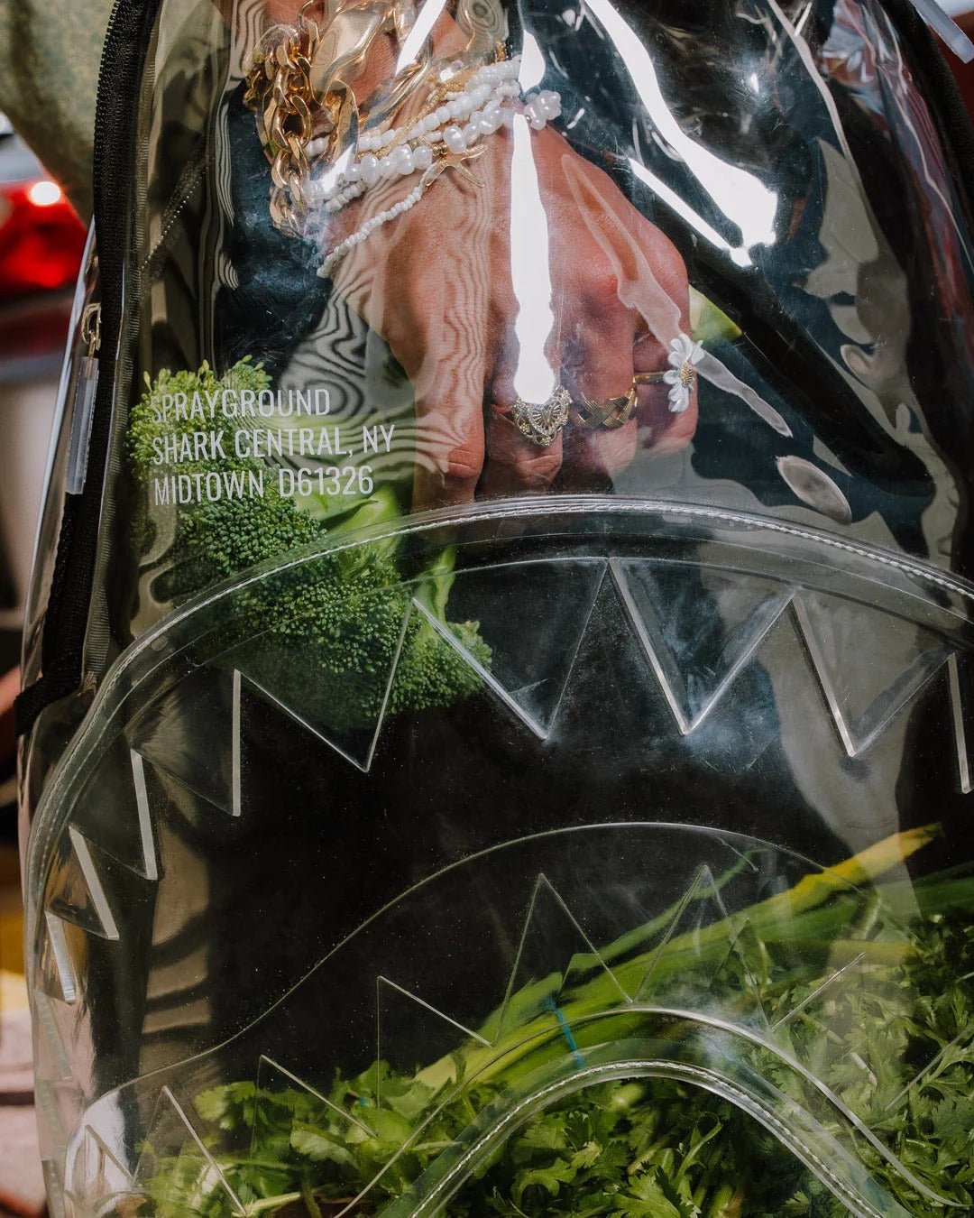 Sac à dos - SHARK CENTRAL CLEAR DLXSV BACKPACK BLACKPANEL - SPRAYGROUND-Magna-Carta