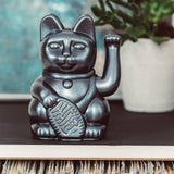 Lucky Cat Galaxy - Donkey products - Lucky Cat