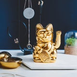 Lucky Cat or brillant - Donkey products
