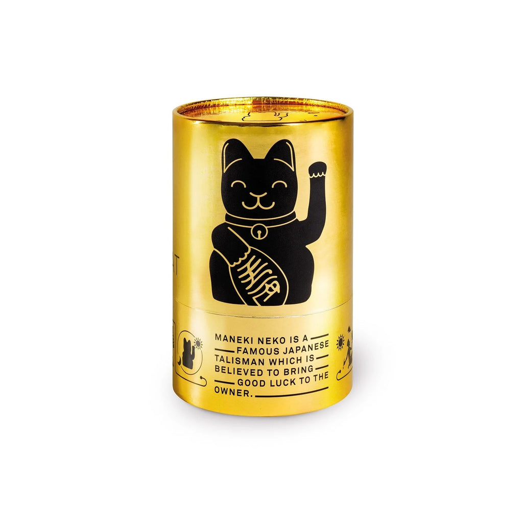Lucky Cat Noir brillant - Donkey products