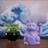 Lucky Cat Lila - Donkey products
