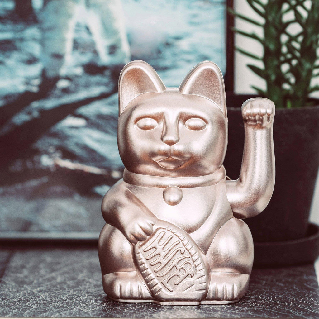 Lucky Cat Moonlight - Donkey products