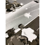 Affiche Top Gun variant - Plakat-Magna-Carta