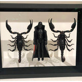 Coffret d'entomologie Star Wars - Dark Vador / Scorpions - Benjamin Pietri
